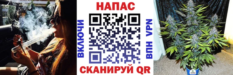Купить где  Отрадная  Каннабис сатива 
